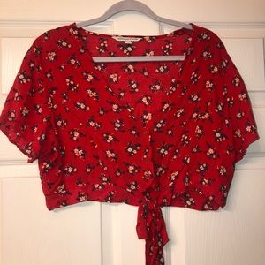 American Eagle Crop Top Blouse